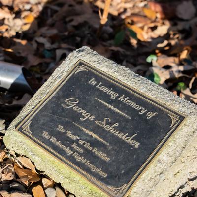 gallery photo number 43