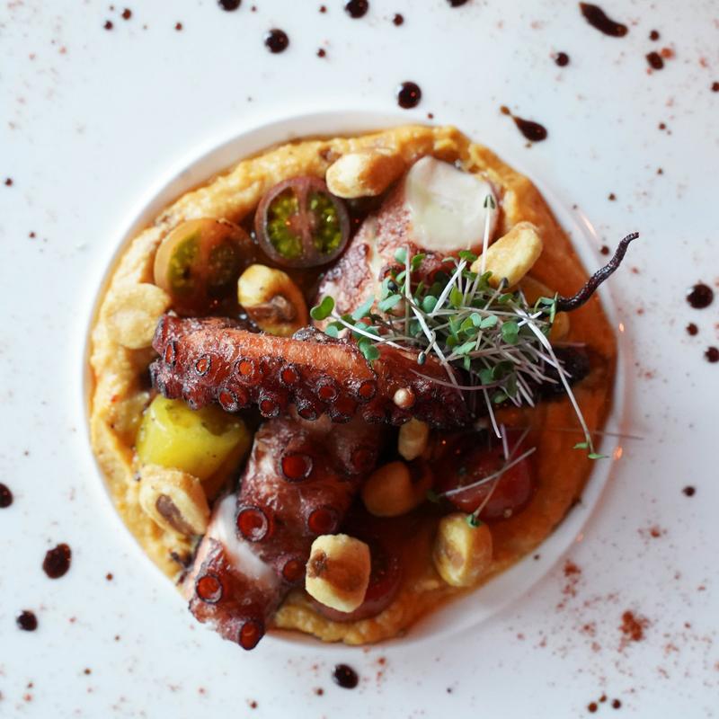 Charred octopus photo