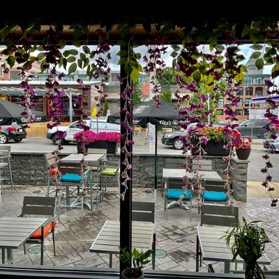 gallery photo number 18