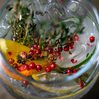 Gin and tonic, garnished with orange slice, cucumber, red berries, and a sprig of herbs.