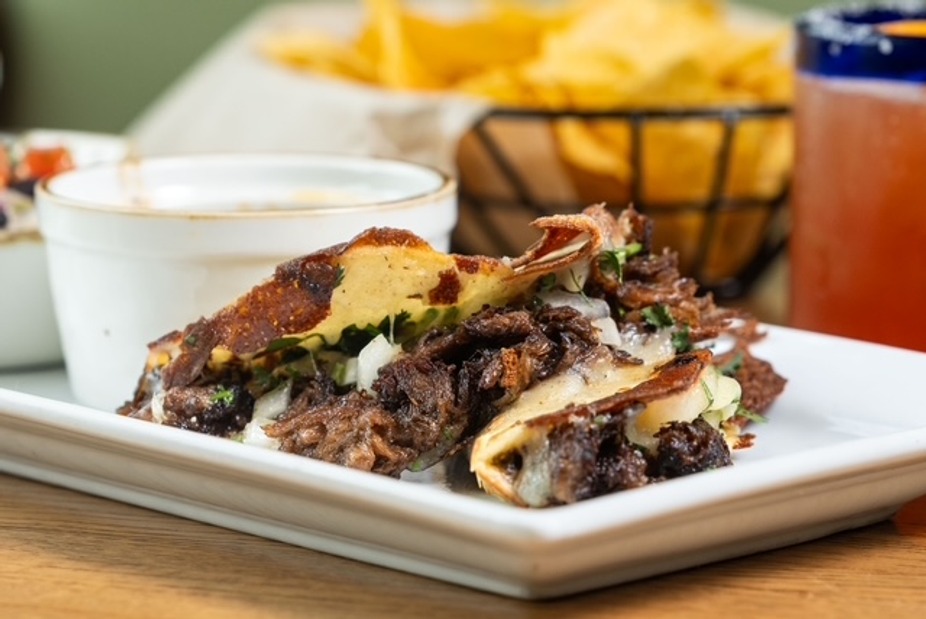 Tuesday February 3rd Special 1