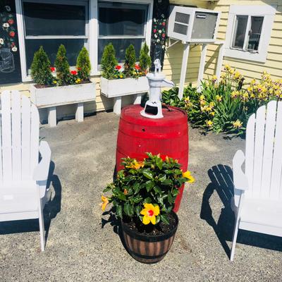 gallery photo number 33