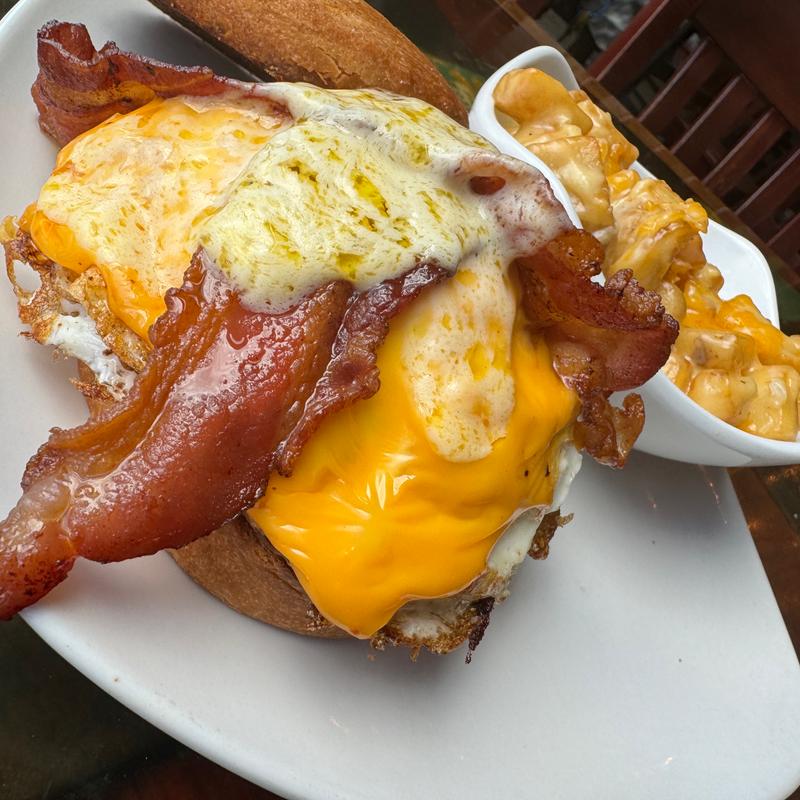 Classic Brunch Sammy photo