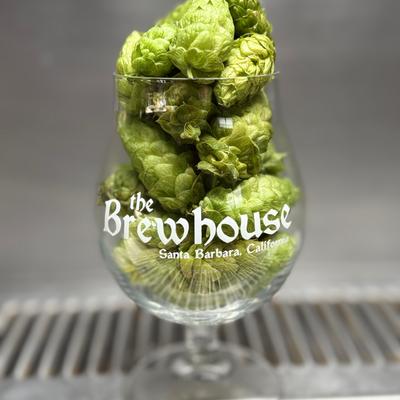 Hops in a beer glass.