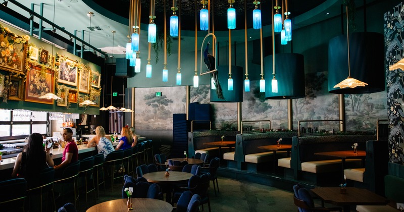 Interior, bar and lounge area