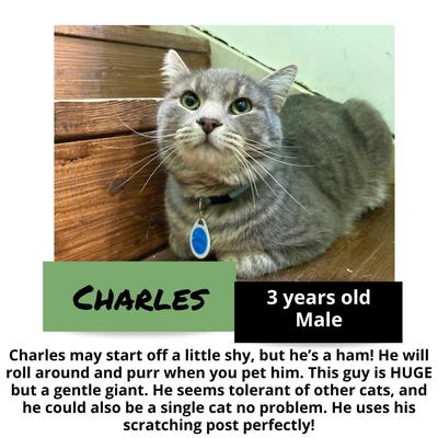 gallery photo number 6