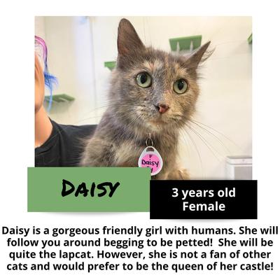 gallery photo number 13