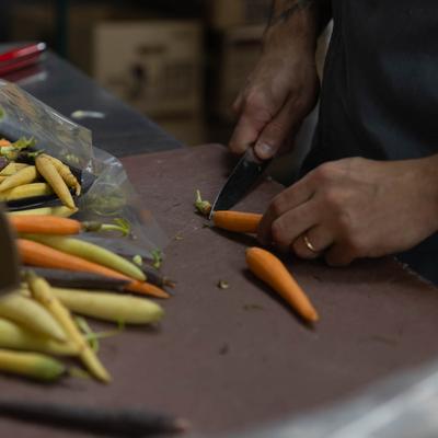 gallery photo number 101