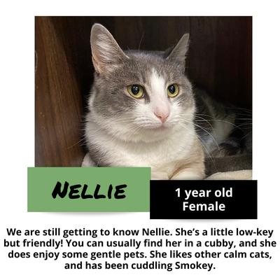 gallery photo number 10