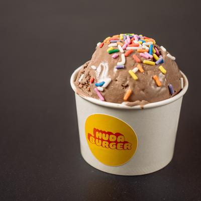 Chocolate Ice Cream topped with colorful rainbow sprinkles.