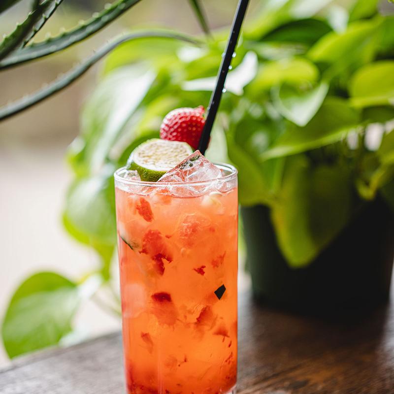 Strawberry Cucumber photo