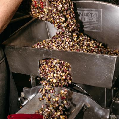 Mixed corn kernels being poured into a metal grinder.