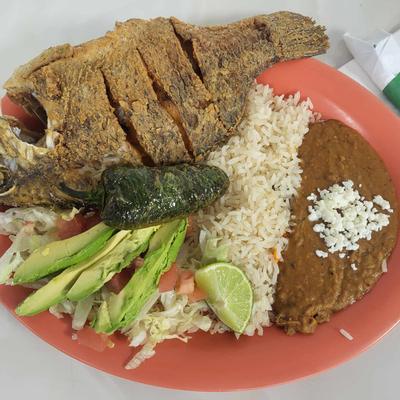 gallery photo number 178