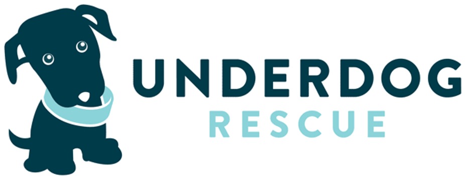 Drink for Dogs - Underdog Rescue event photo