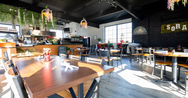 Interior, bright sunlit dining area, open space with serving bar