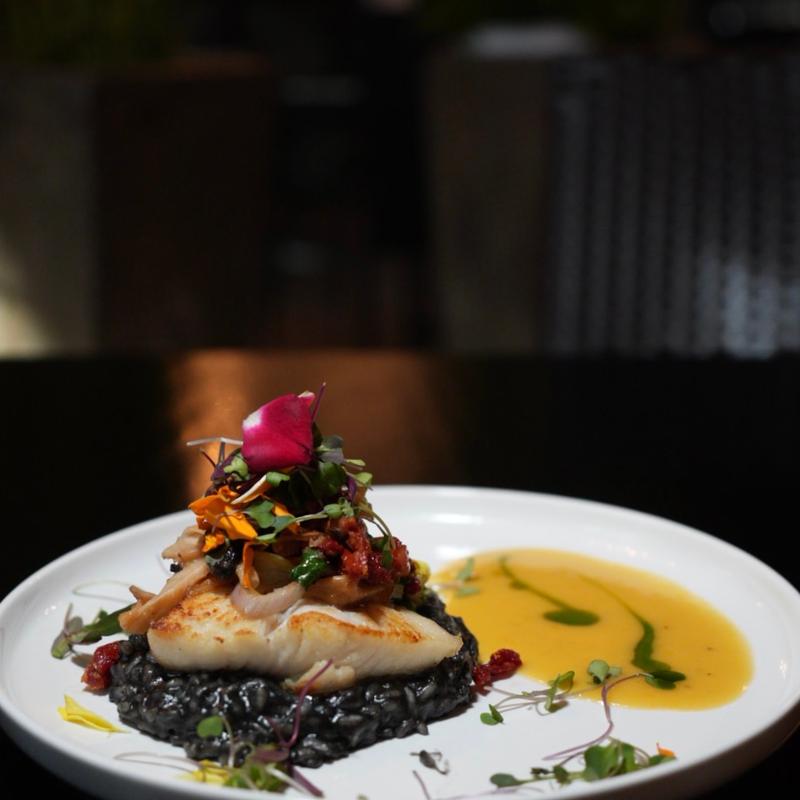 Today's Fresh Catch photo