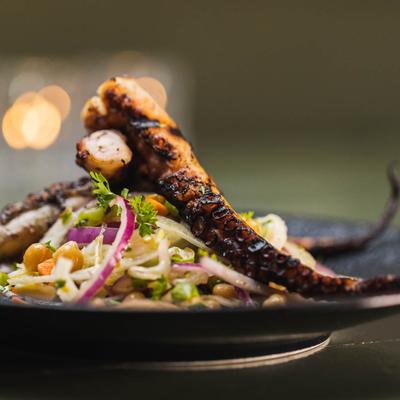 Closeup of a food on the table.