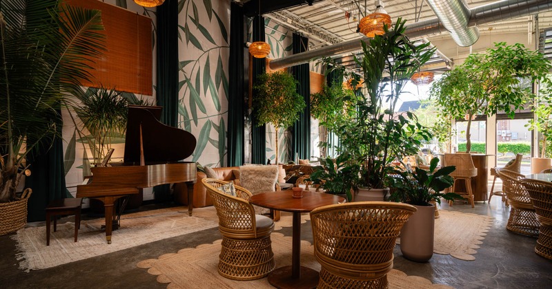 Interior, seating area, lavish plant decoration, stage piano, wicker chairs with tables