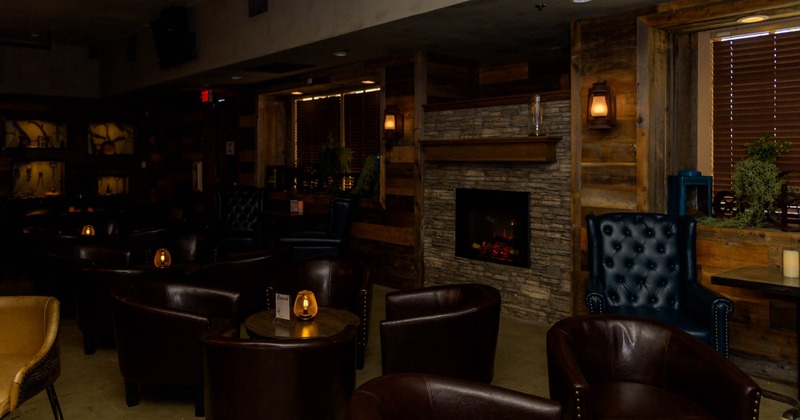 Seating area with leather armchairs and dimmed lights