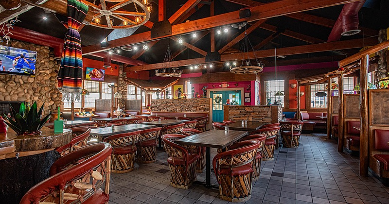 Interior, tables and chairs lined up, decorative plant on the left