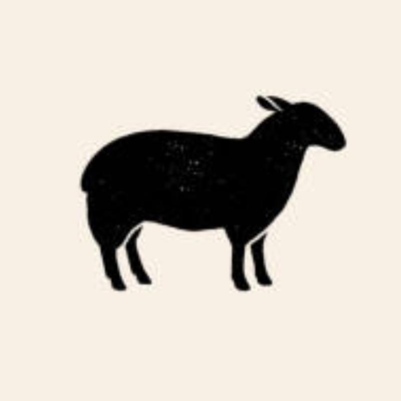 LAMB SELECTIONS: photo