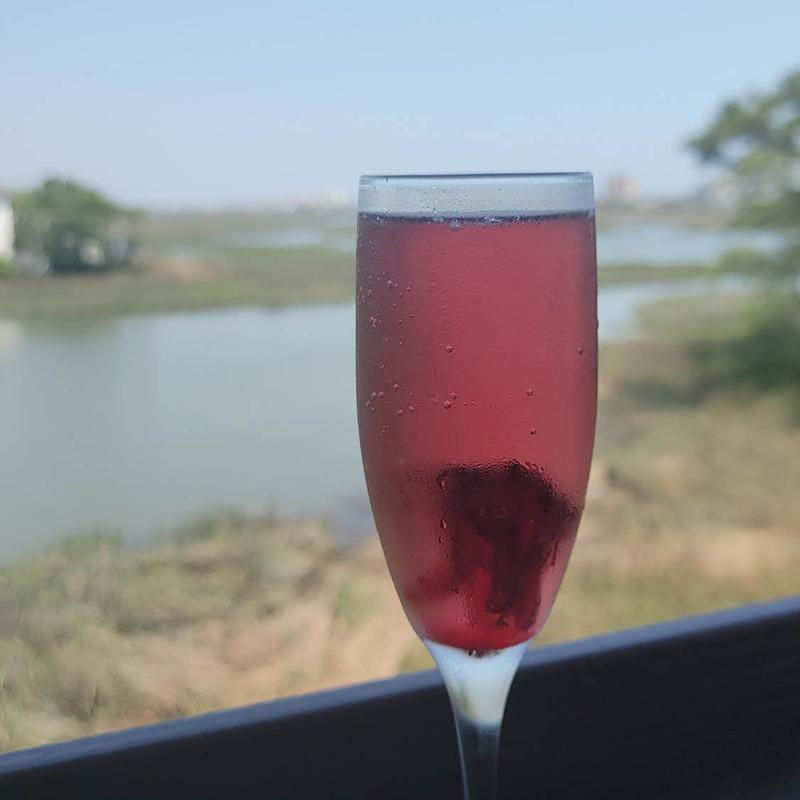Spark Ling Hibiscus photo
