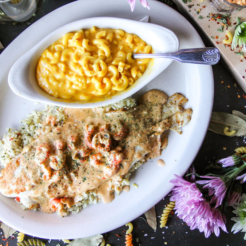 New Orleans Grouper photo