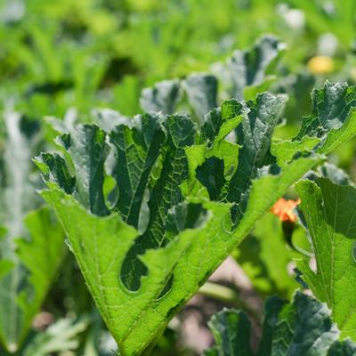 gallery photo number 17