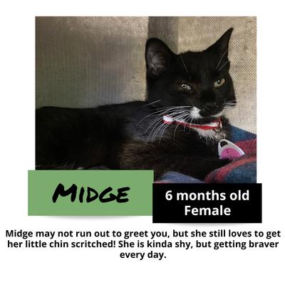 gallery photo number 1