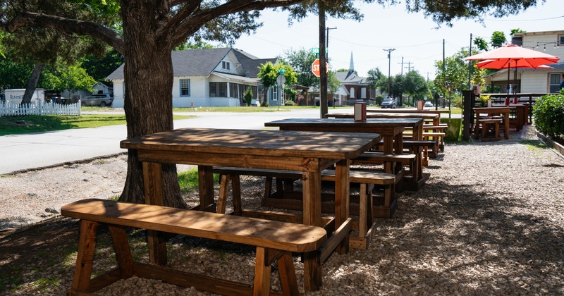 Outdoor dining area with wooden picnic tables under a large tree