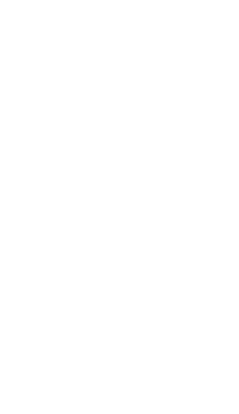 290 Maine St logo top