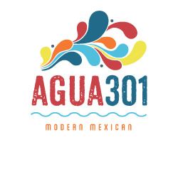 Agua 301 logo top