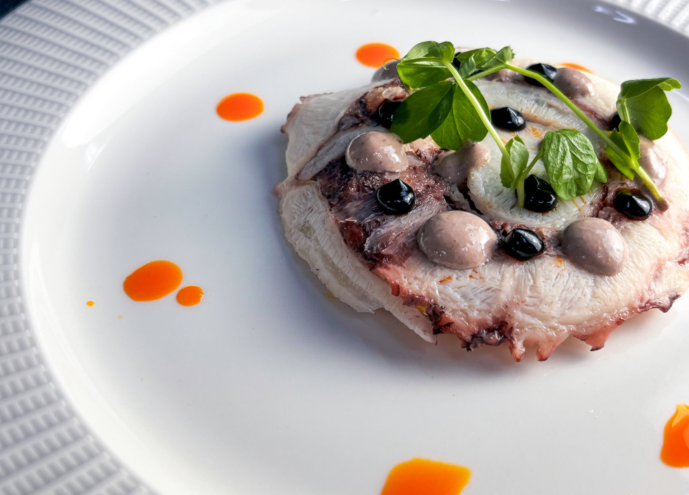 A white plate featuring a beautifully arranged octopus