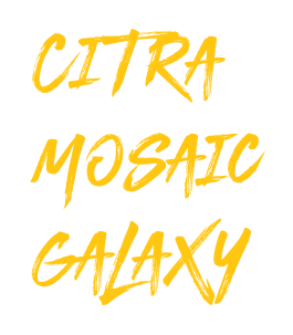 citra mosaic galaxy