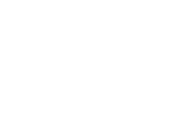 Birria Kings logo top