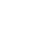 Brass Monkey Pub & Grill logo top