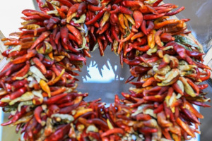 Chili peppers decorated in circle