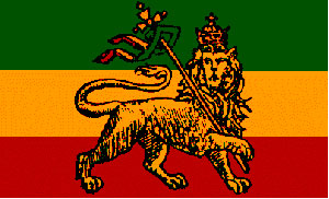 Lion flag