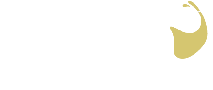 city cellars logo