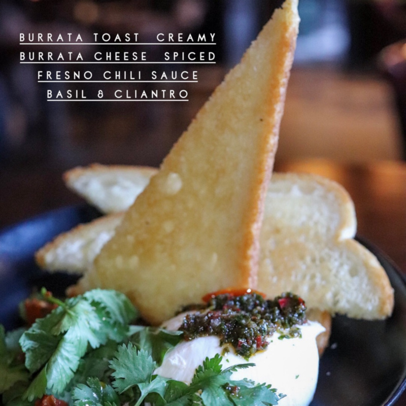 Burrata toast creamy cheese spiced sauce with basil and cilantro