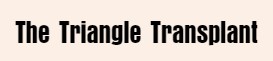 The Triangle Transplant logo