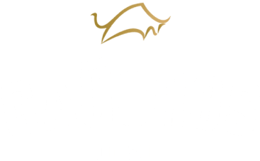 Gauchos Do Sul - Katy logo