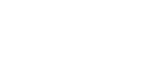 where traveller logo