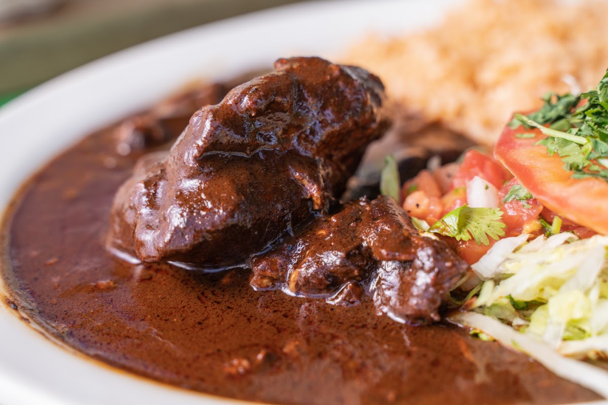 Chicken in mole sauce, plate closeup