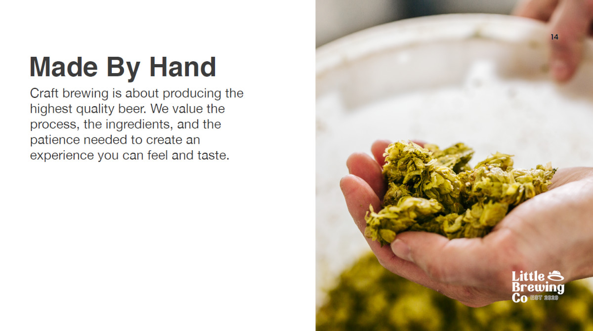 Person holding hops in hand
