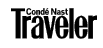 traveler logo