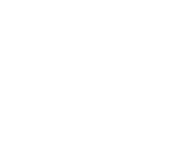 the perfect choice logo