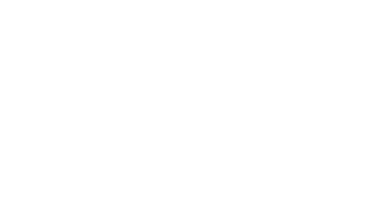 Norse Brewing Company - Location Landing Page logo