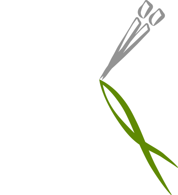 Poke Poké logo