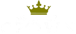 The Prime and Crown logo top